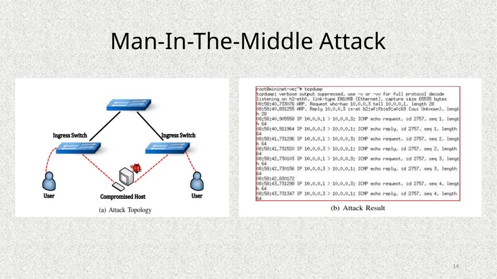 Poisoning Network Visibility in Software-Defined - slide 14 of 27