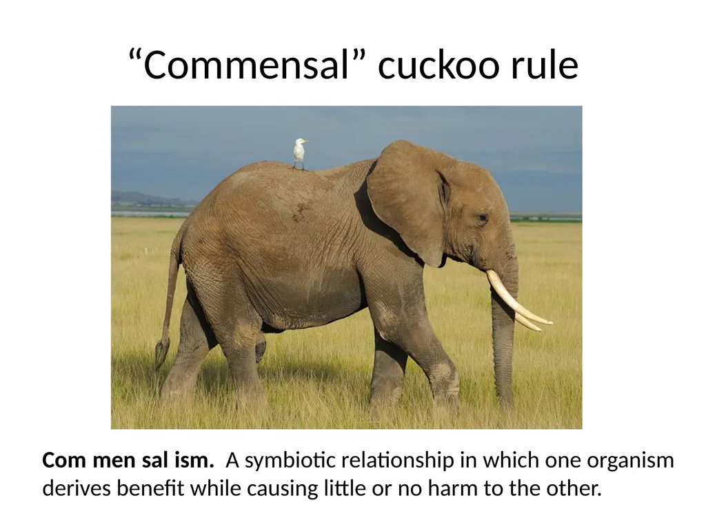 Commensal Cuckoo: Secure Group Partitioning for - slide 21 of 32