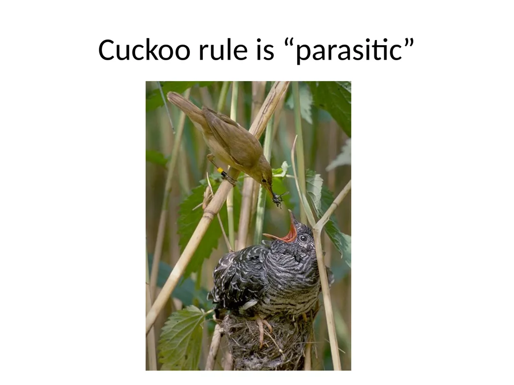 Commensal Cuckoo: Secure Group Partitioning for - slide 19 of 32