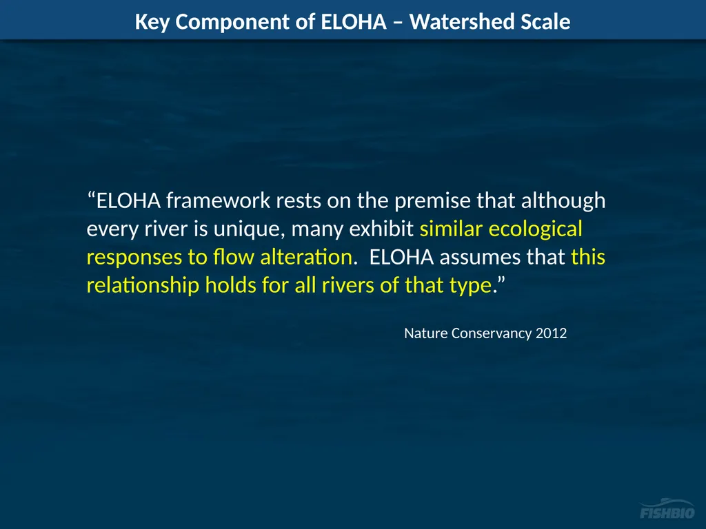 Comments on Proposed Methods to Develop Flow - slide 5 of 14