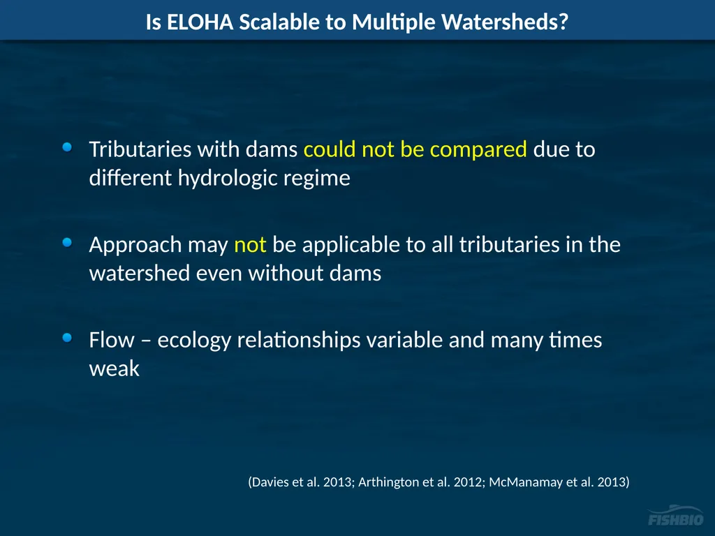 Comments on Proposed Methods to Develop Flow - slide 6 of 14