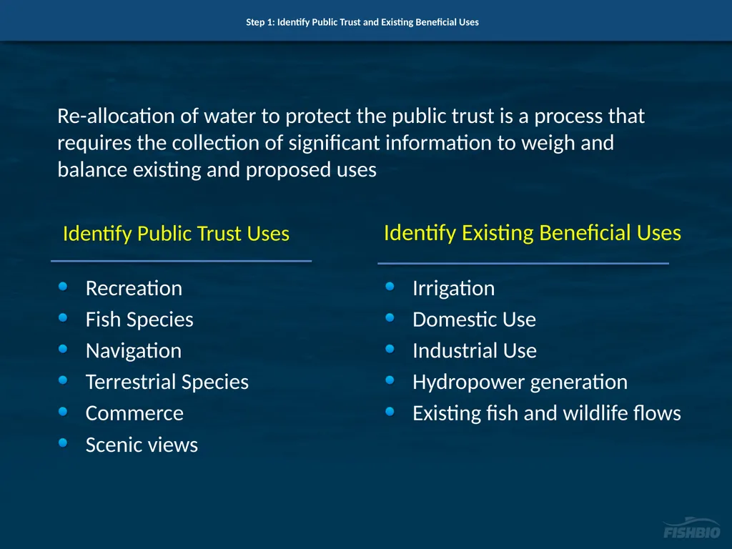 Comments on Proposed Methods to Develop Flow - slide 8 of 14