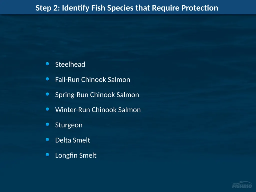 Comments on Proposed Methods to Develop Flow - slide 9 of 14
