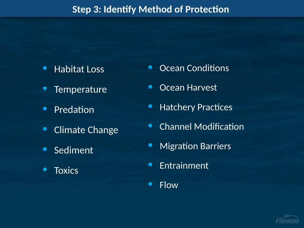 Comments on Proposed Methods to Develop Flow - slide 10 of 14