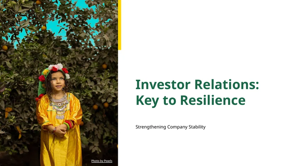Investor Relations: Key to Resilience - slide 1 of 14