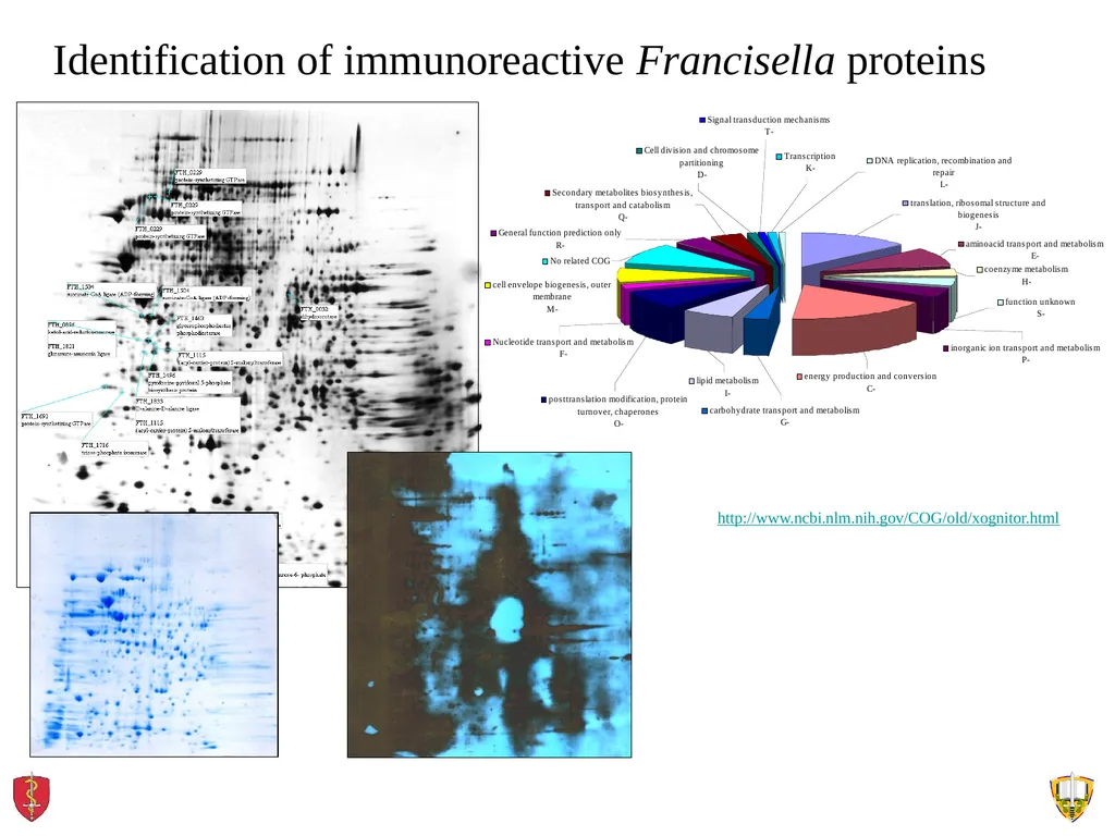 About OMICS Group OMICS Group International is an - slide 17 of 21