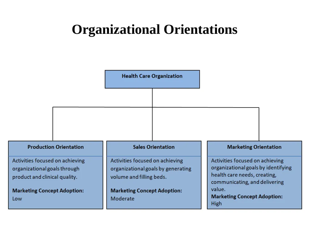 CAG UNIVERSITY 2019 – 2020 FALL SEMESTER MAN 429 - slide 6 of 23