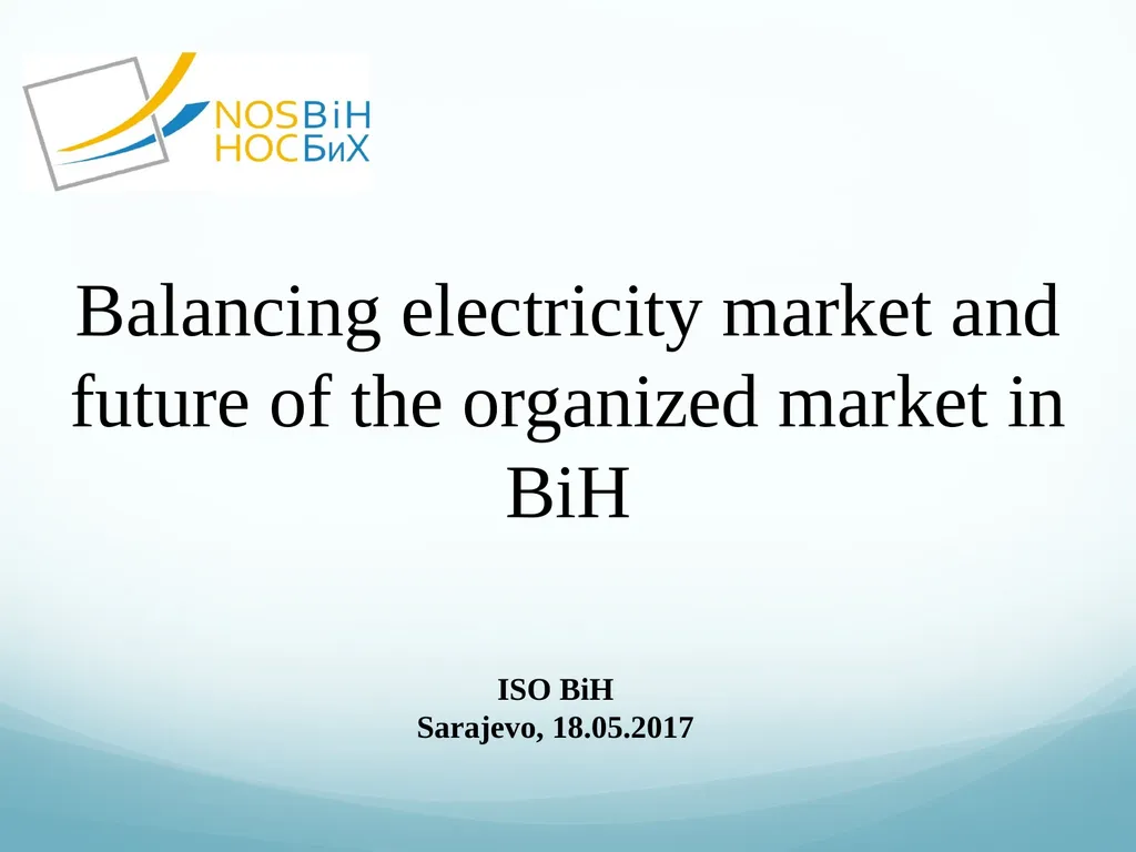 Balancing electricity market and future of the
