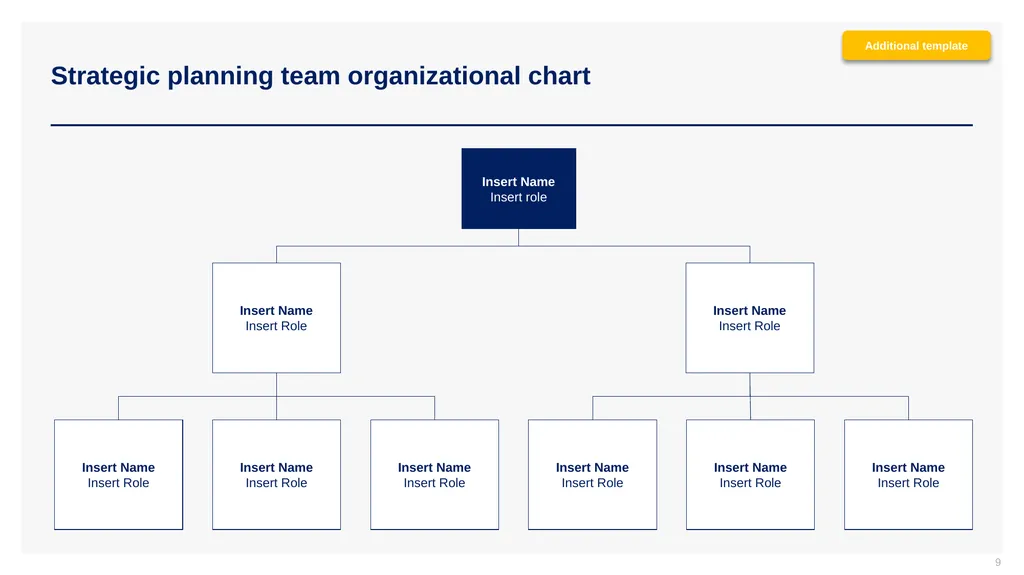 Phase I - Strategic Planning Project Setup CEO: - slide 9 of 29