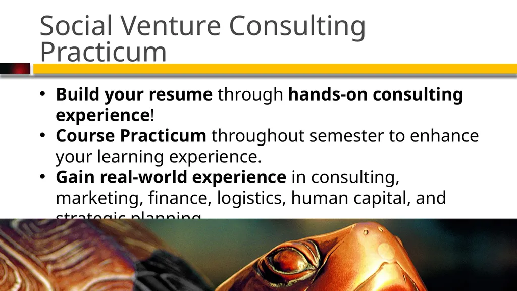 Center for Social Value Creation smith experience: - slide 2 of 12