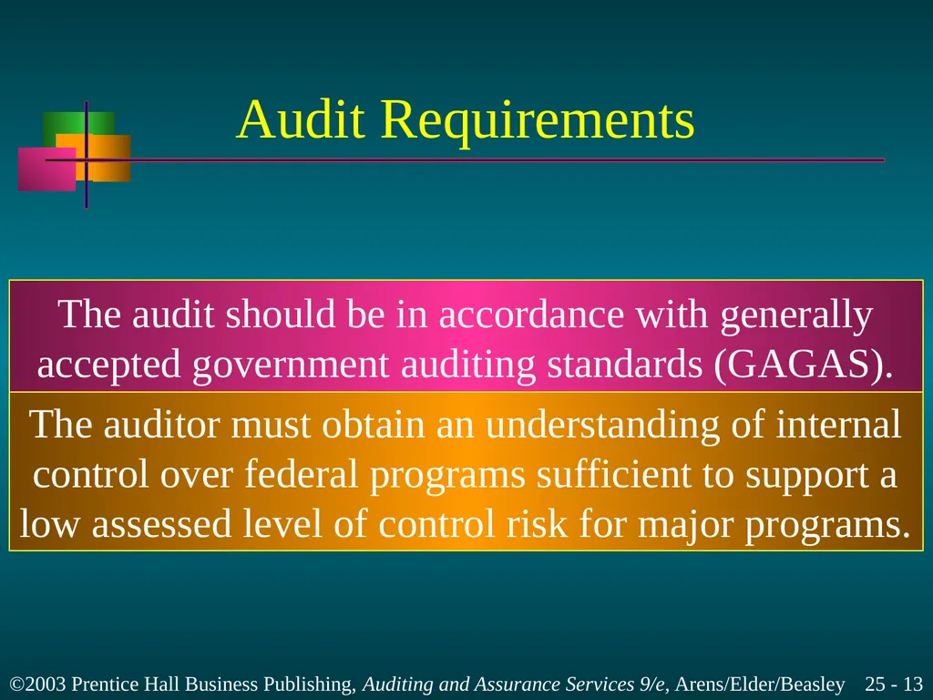 Internal and Governmental Financial Auditing and - slide 13 of 37