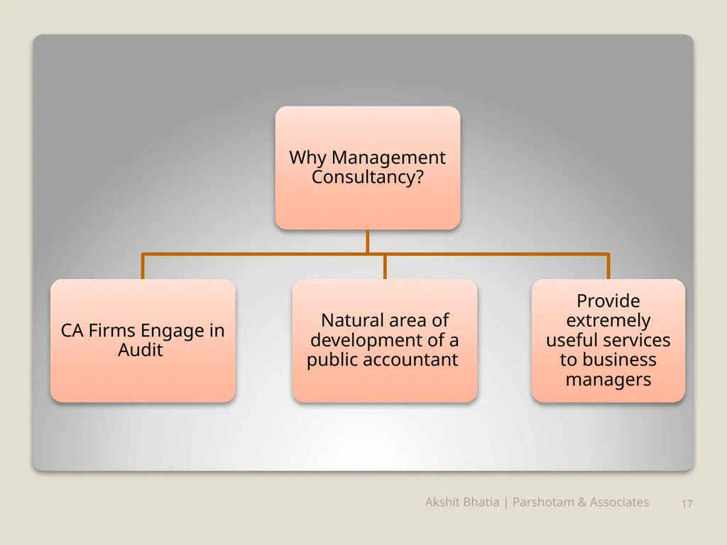 Management Consultancy Services u/s-144 of - slide 17 of 25