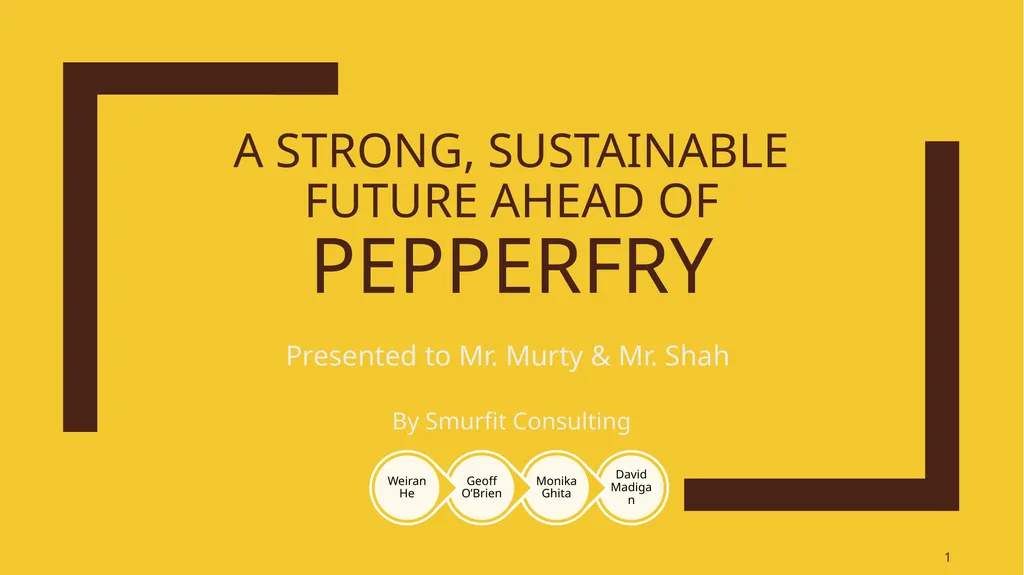 A Strong, sustainable future ahead of Pepperfry - slide 1 of 23