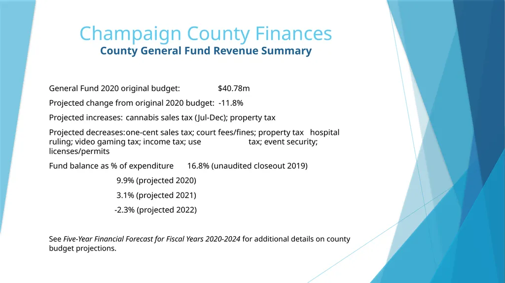 Annual Report to the County Board from the County - slide 12 of 19