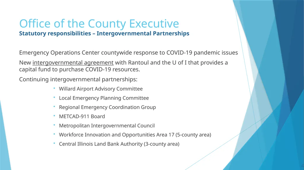Annual Report to the County Board from the County - slide 4 of 19
