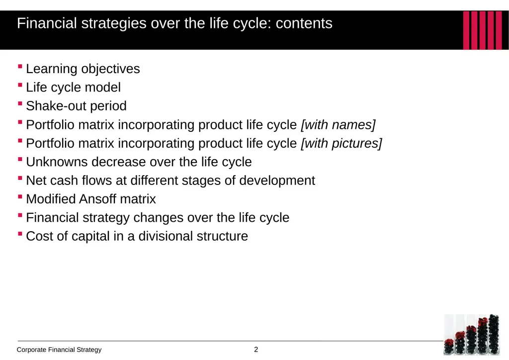 Chapter 5 Financial strategies over the life cycle - slide 2 of 12