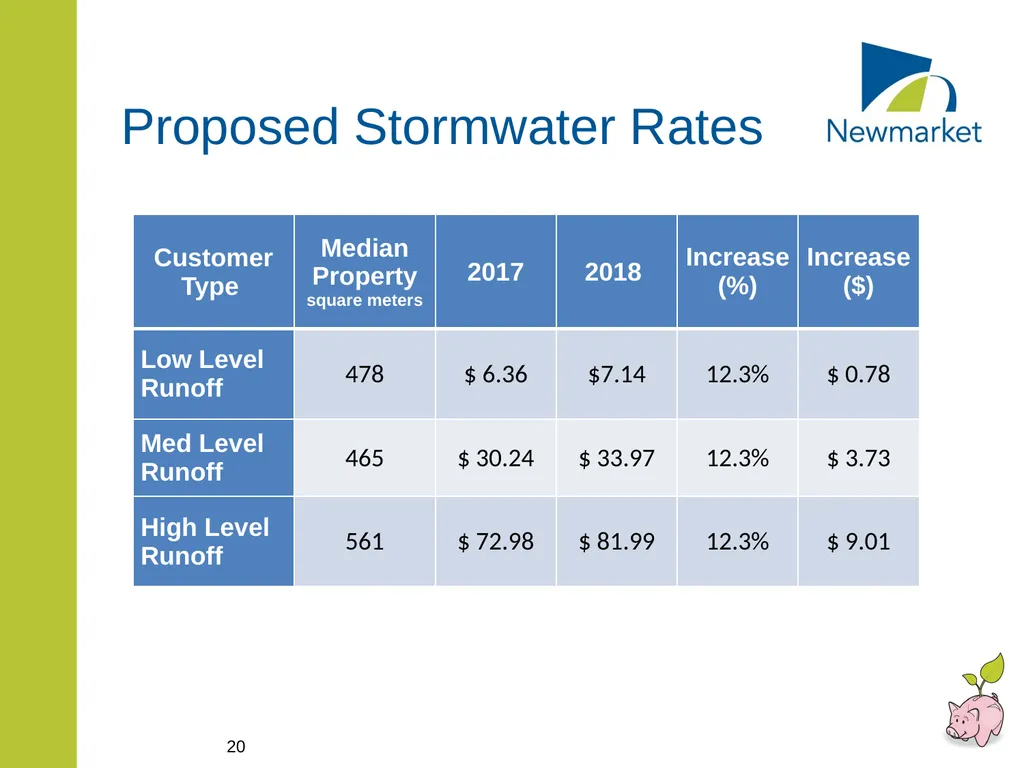 CAPITAL AND RATE SUPPORTED OPERATING BUDGETS - slide 20 of 35