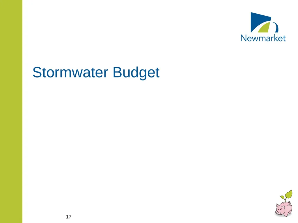 CAPITAL AND RATE SUPPORTED OPERATING BUDGETS - slide 17 of 35