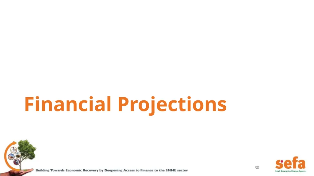 sefa’s Corporate Plan and APPs: (2021/22 – - slide 30 of 54