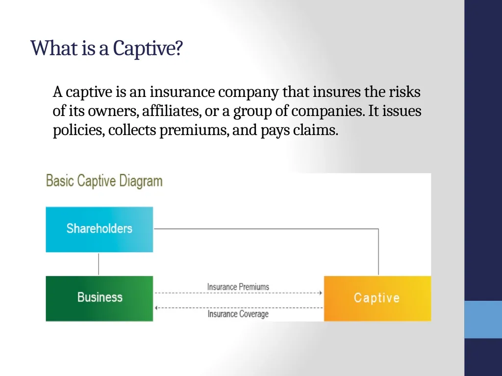 SRMC Fall Conference 2012 Captives, Microcaptives - slide 3 of 37