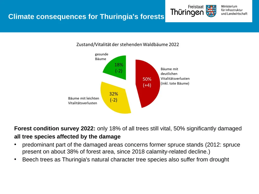 „Forest action plan 2030 ff“ Thuringia´s - slide 4 of 8