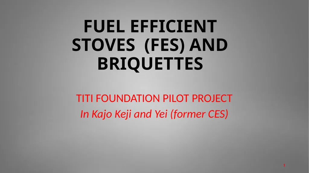 TITI FOUNDATION PILOT PROJECT In Kajo Keji and Yei