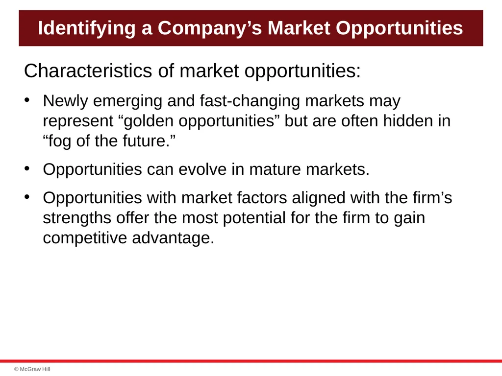 chapter 4 Evaluating a Company’s Resources, - slide 19 of 62