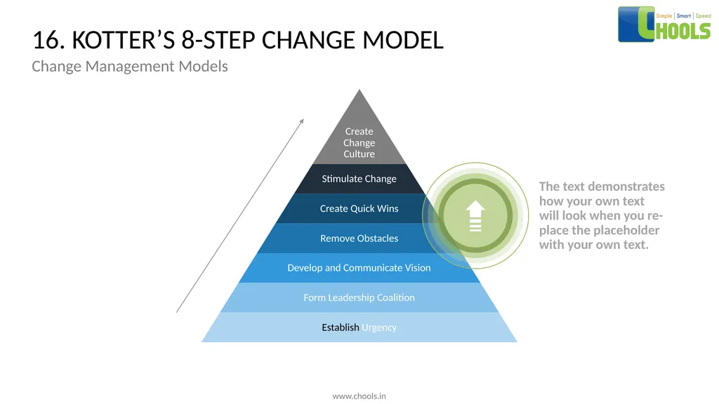 CHANGE MANAGEMENT MODELS BY CHOOLS CONSULTING - slide 27 of 104