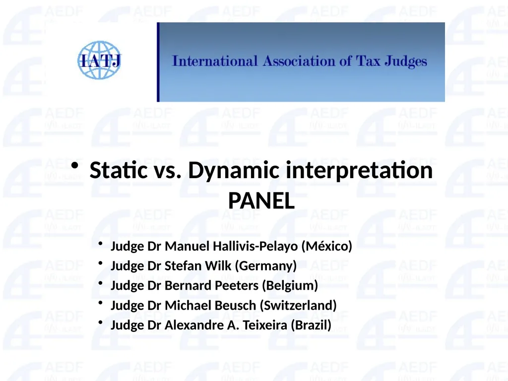 Static vs. Dynamic interpretation PANEL Judge Dr