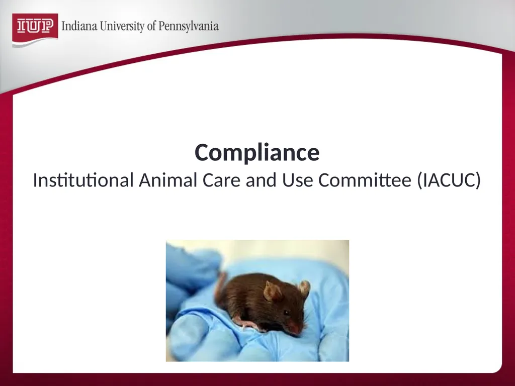 Support for Research & Scholarship at IUP Internal - slide 27 of 33