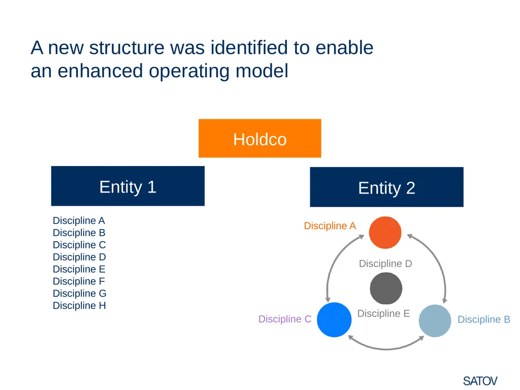 CASE STUDY Organizational effectiveness We helped - slide 5 of 9