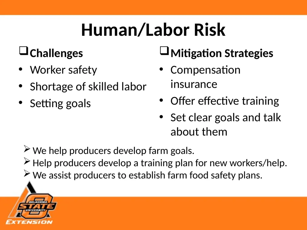 Risks, Strategies and Resources for Small Scale - slide 8 of 11