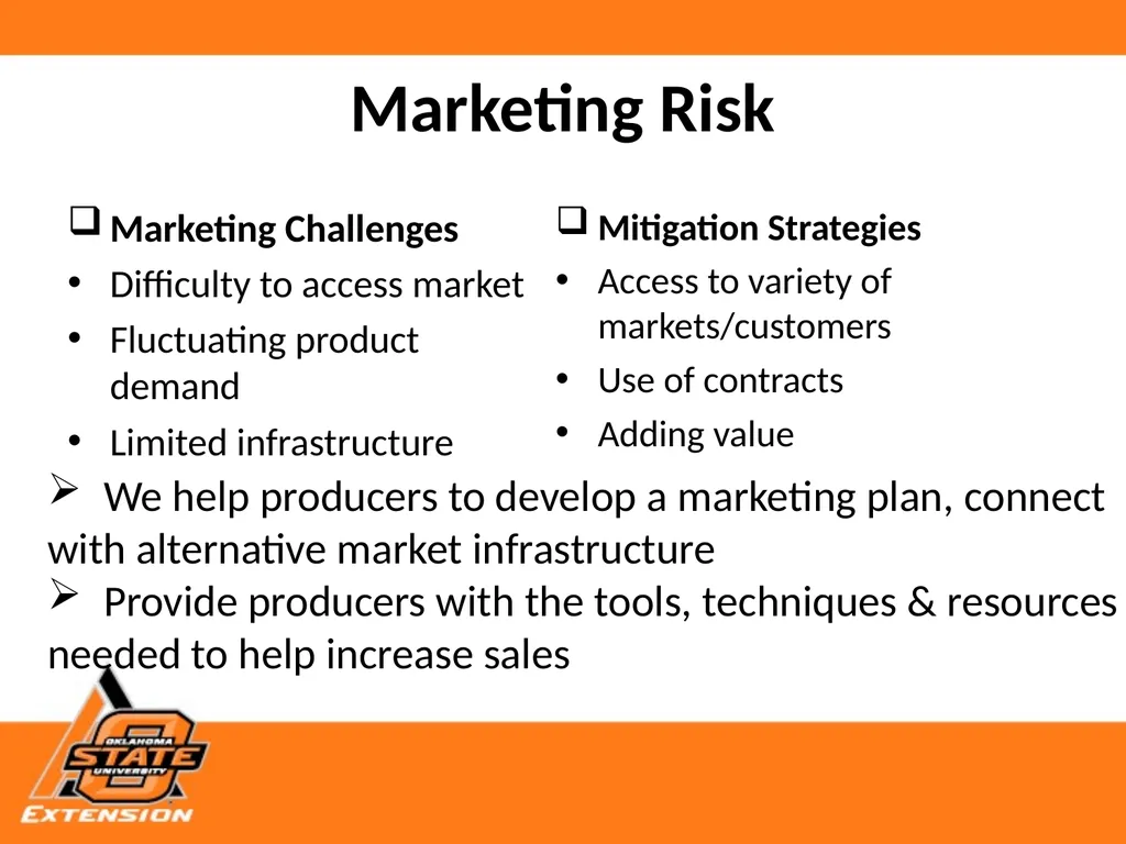 Risks, Strategies and Resources for Small Scale - slide 5 of 11