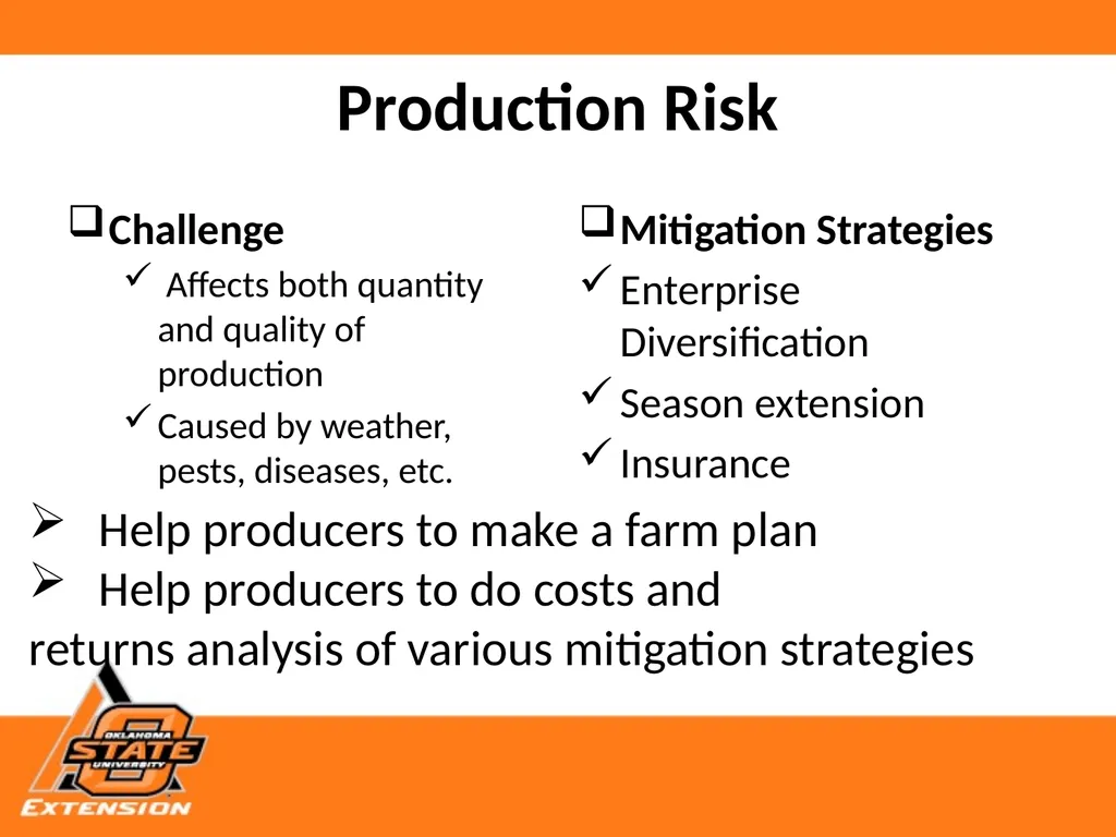 Risks, Strategies and Resources for Small Scale - slide 4 of 11