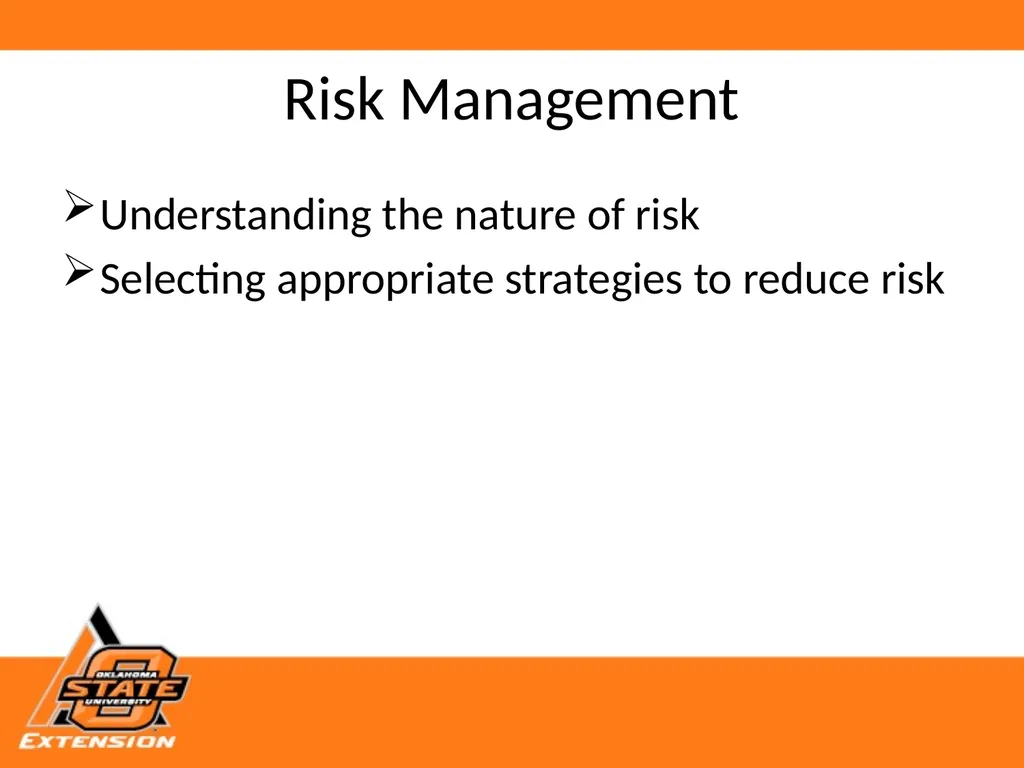 Risks, Strategies and Resources for Small Scale - slide 2 of 11