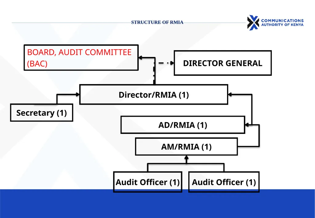 Risk Management & Internal Audit (RMIA) Department - slide 2 of 11