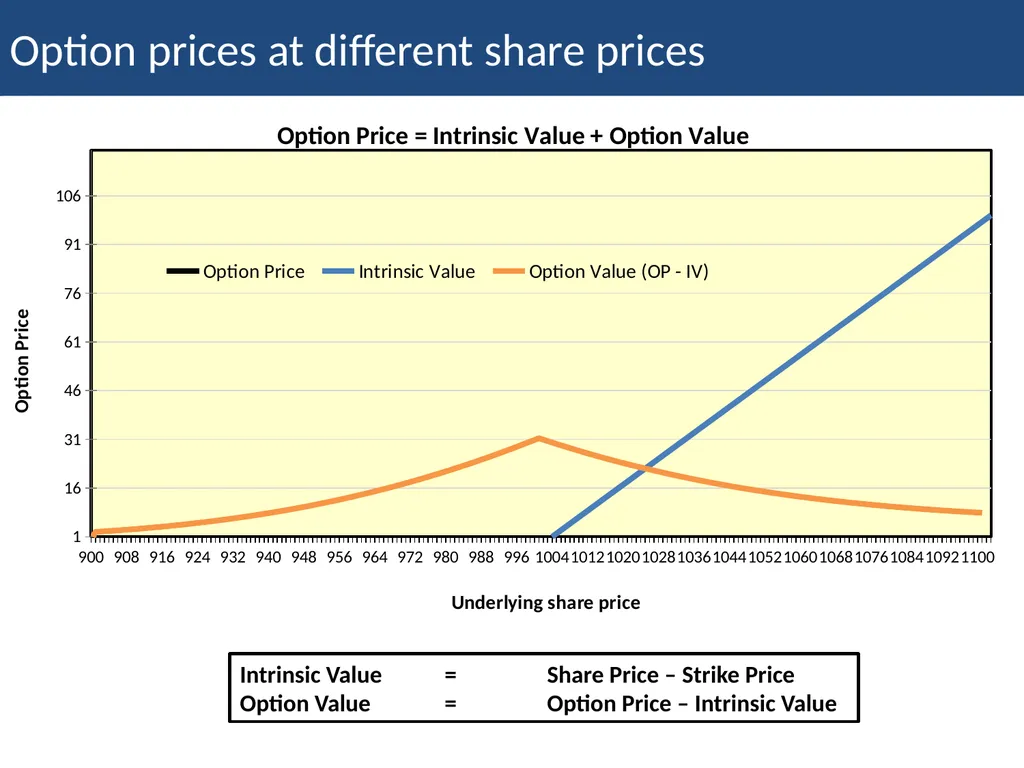Employee Stock Option Plan Presenter: Khushwant - slide 28 of 71