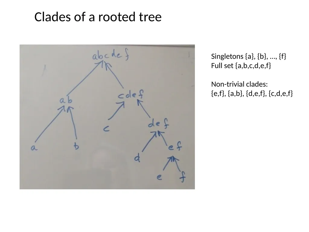 CS 581 Constructing rooted trees Tandy Warnow - slide 9 of 42
