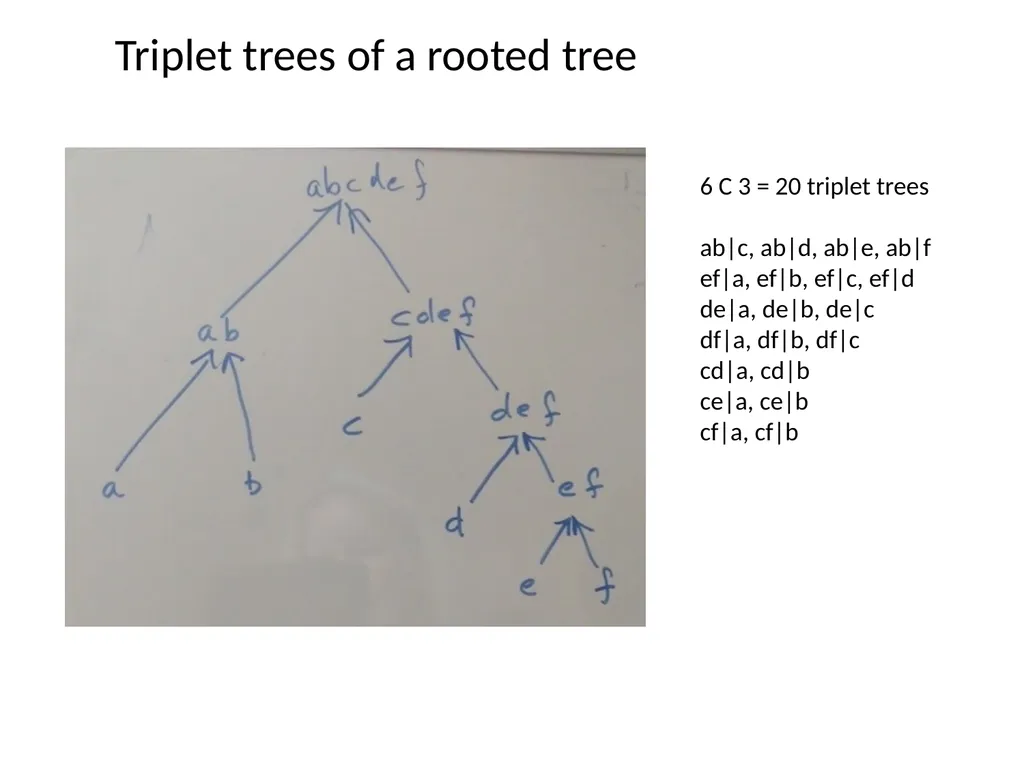 CS 581 Constructing rooted trees Tandy Warnow - slide 7 of 42