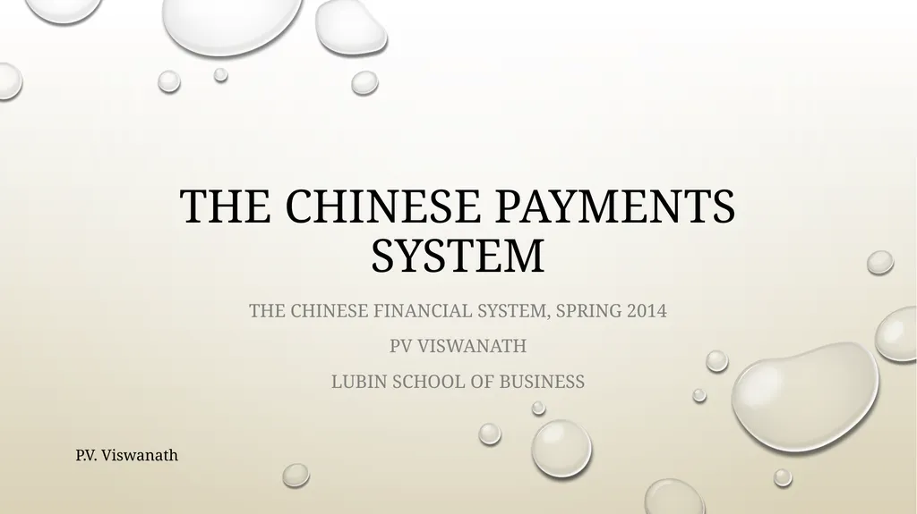 The Chinese payments system The Chinese financial