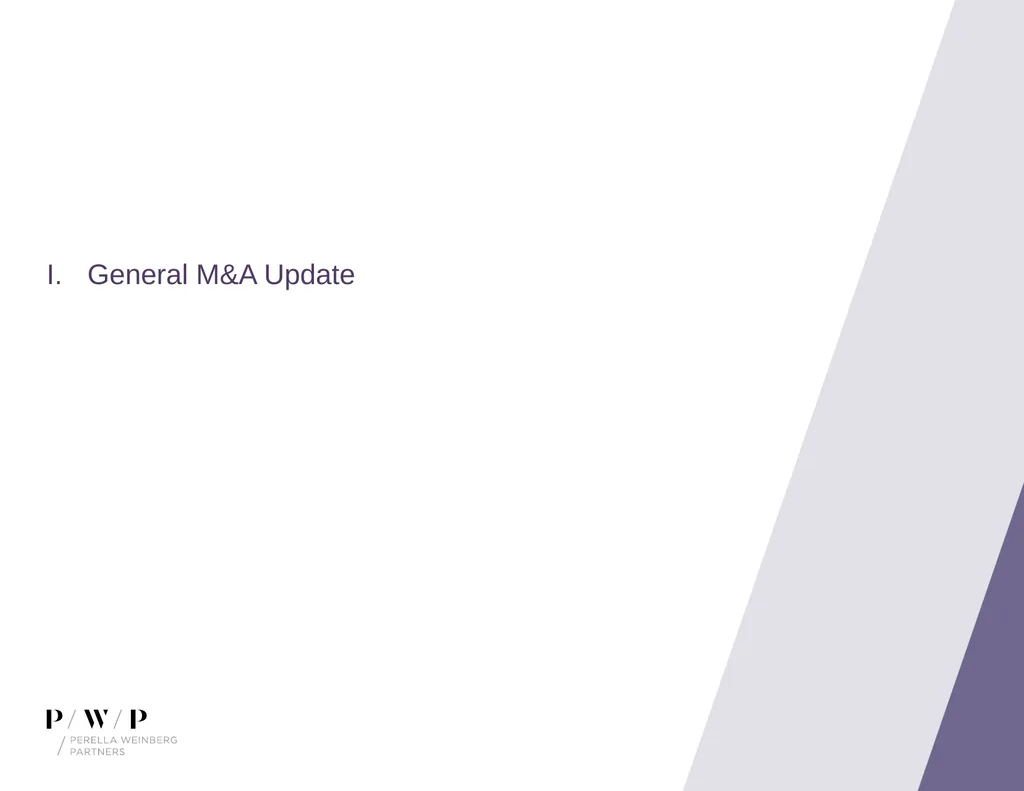 Update on M&A Environment Spring 2019 Speaker - slide 3 of 13