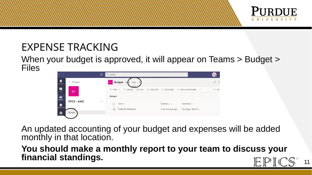 Financial officer Training Your role as the - slide 11 of 21