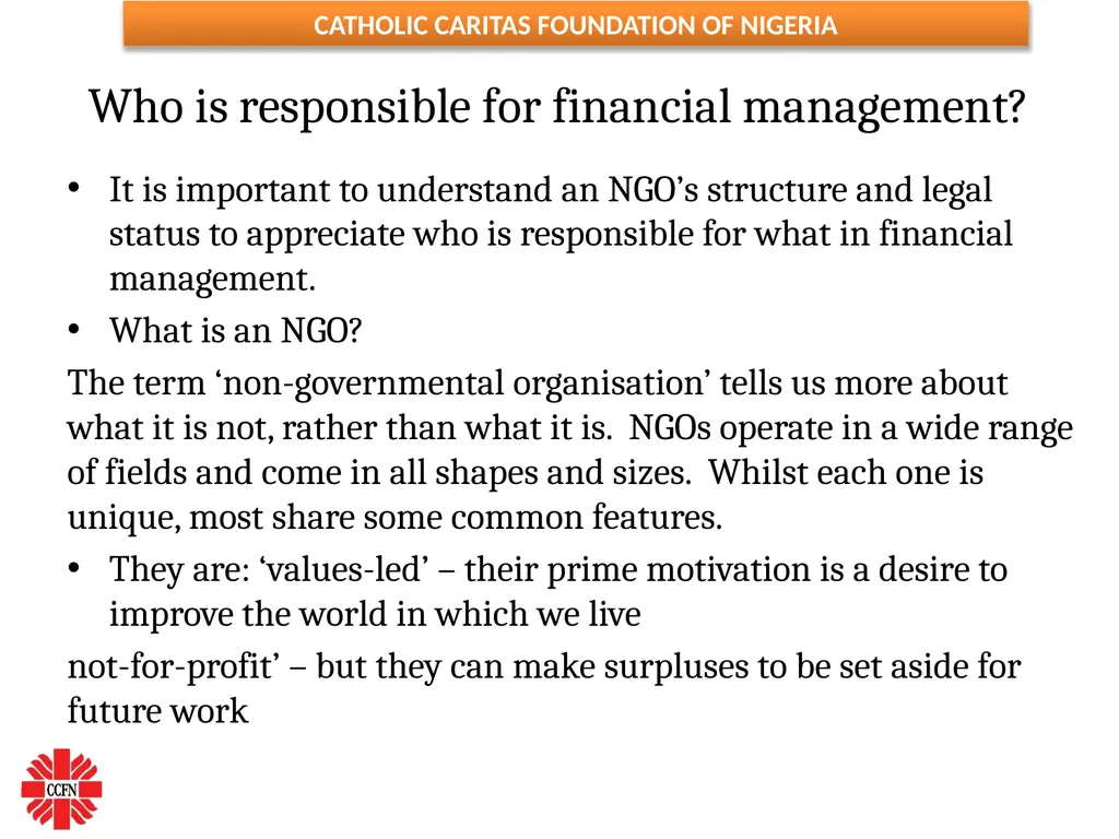 FINANCIAL MANAGEMENT ESSENTIALS FOR NGOs ( Adapted - slide 19 of 31