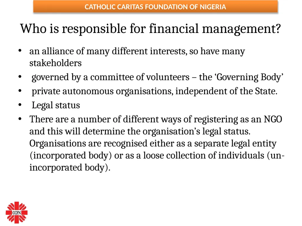 FINANCIAL MANAGEMENT ESSENTIALS FOR NGOs ( Adapted - slide 20 of 31