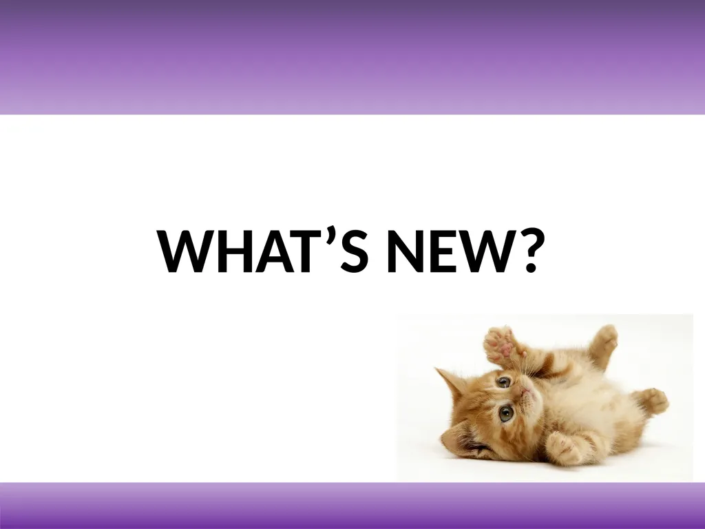 Year-End Seminar Meet the Presenters Chris Patten - slide 17 of 23