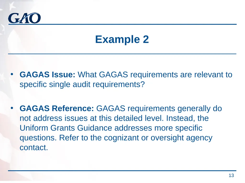 Update on the Developments in Government Auditing - slide 13 of 56