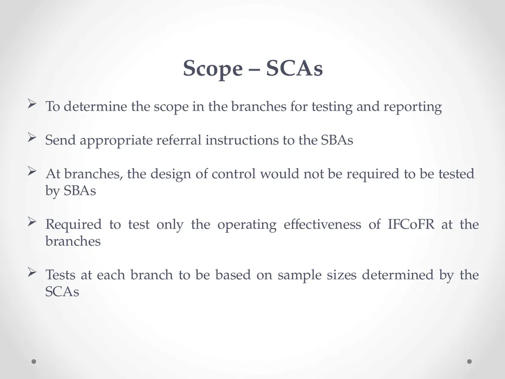 Overview of Internal Financial Control over - slide 24 of 51