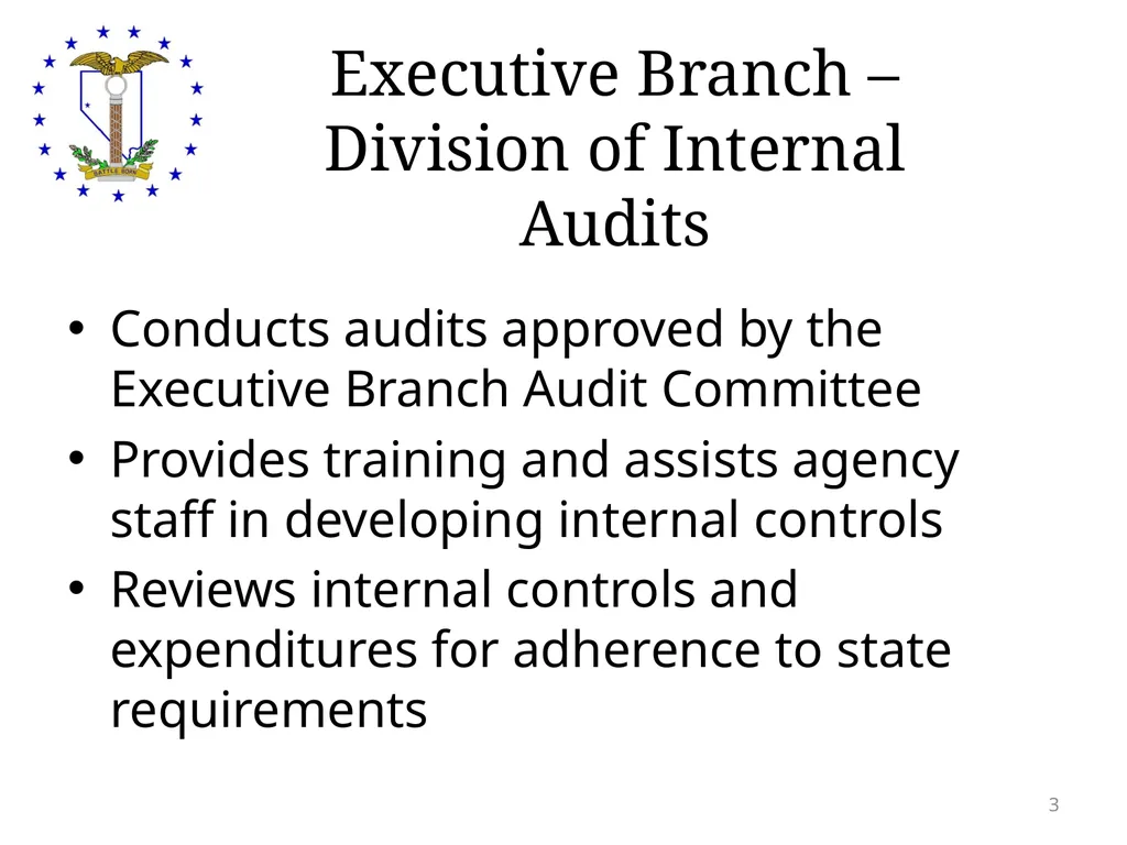 Legislative Counsel Bureau Audit Division Auditing - slide 3 of 15