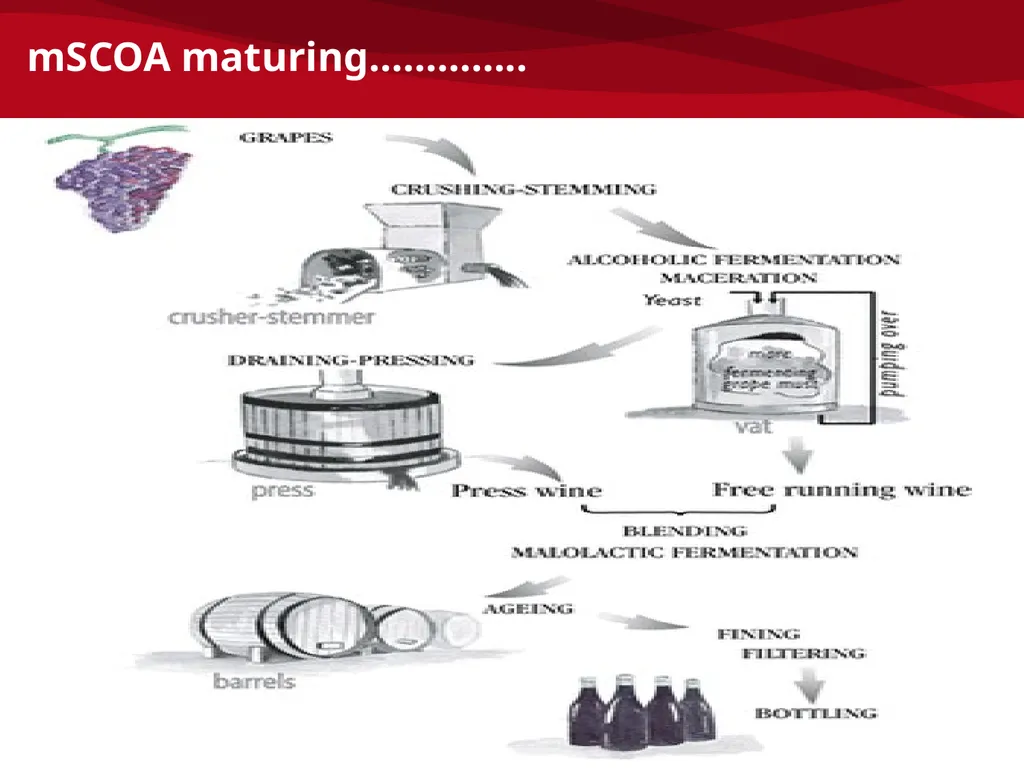 mSCOA and GRAP – Accounting Update: IMFO – July - slide 49 of 49