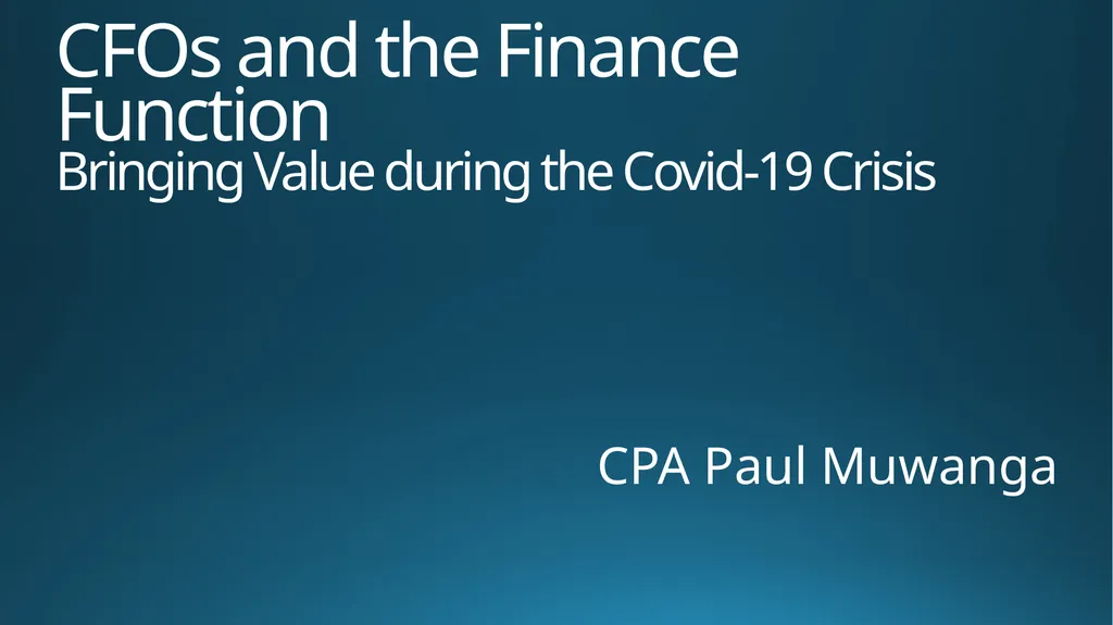 CFOs and the Finance Function Bringing Value - slide 1 of 8